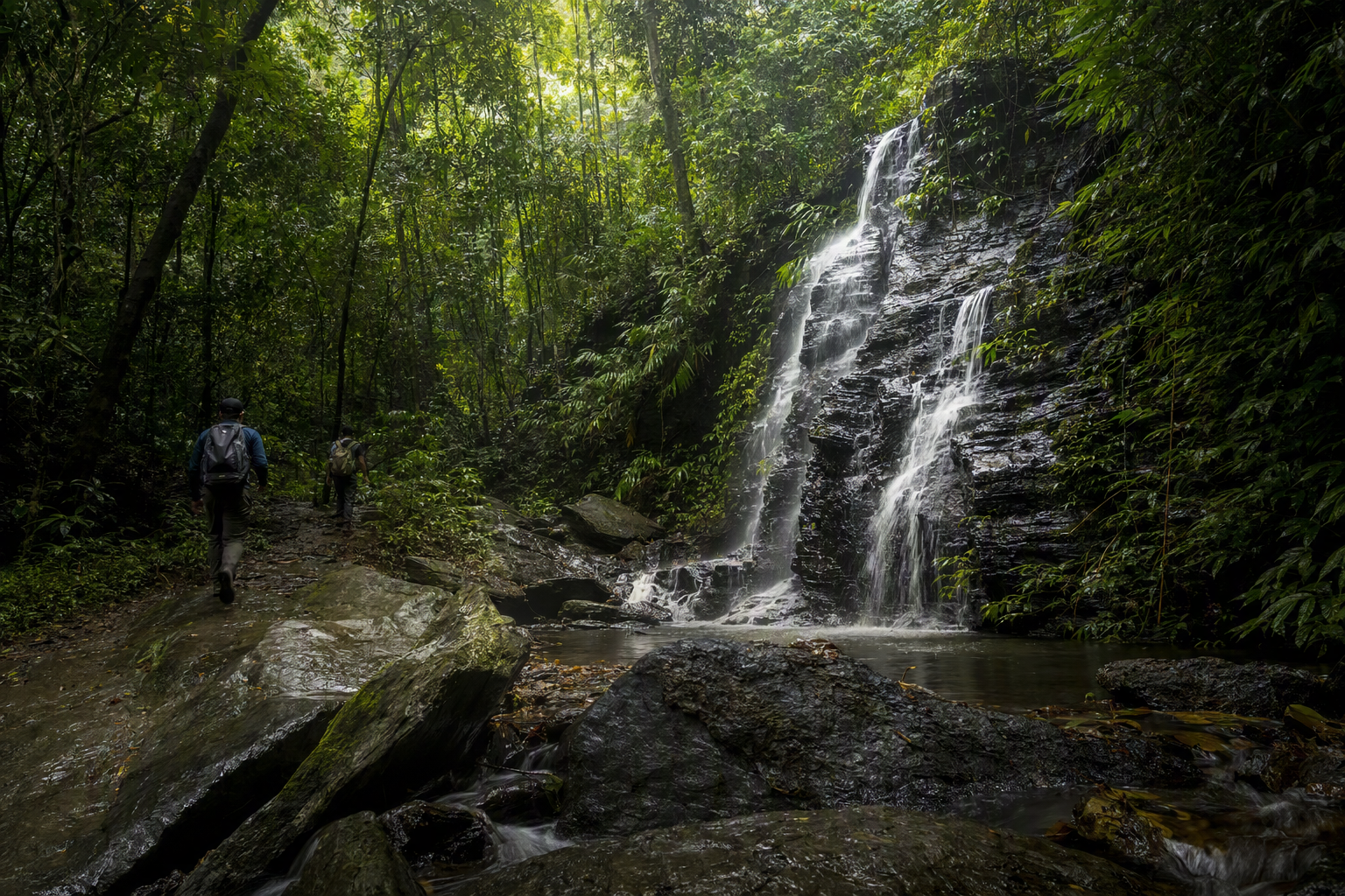 Forest path leading toward a waterfall in the green hills